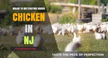 Discover NJ's Best Sources for Pasture-Raised Chicken: A Local Guide