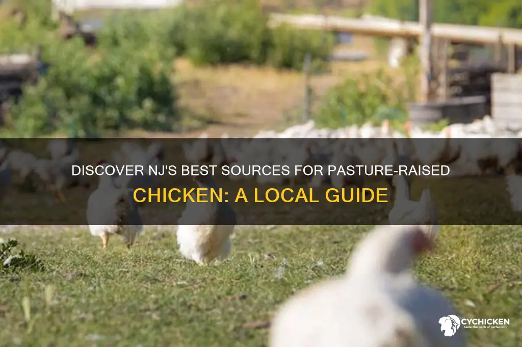 where to buy pasture raised chicken in nj