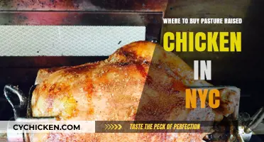 Discover NYC's Best Sources for Pasture-Raised Chicken: A Local Guide