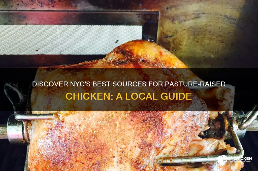 where to buy pasture raised chicken in nyc