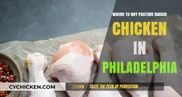 Discover Philadelphia's Best Sources for Pasture-Raised Chicken Today