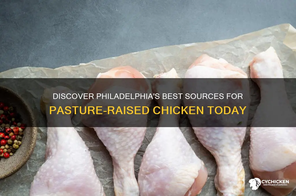 where to buy pasture raised chicken in philadelphia
