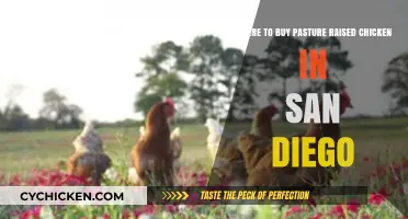 Discover San Diego's Best Sources for Pasture-Raised Chicken