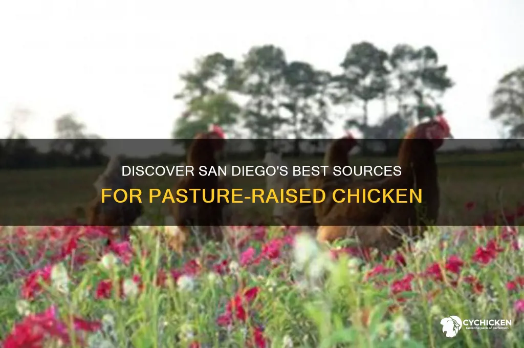 where to buy pasture raised chicken in san diego