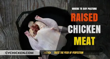 Discover Top Sources for Pasture-Raised Chicken Meat Near You