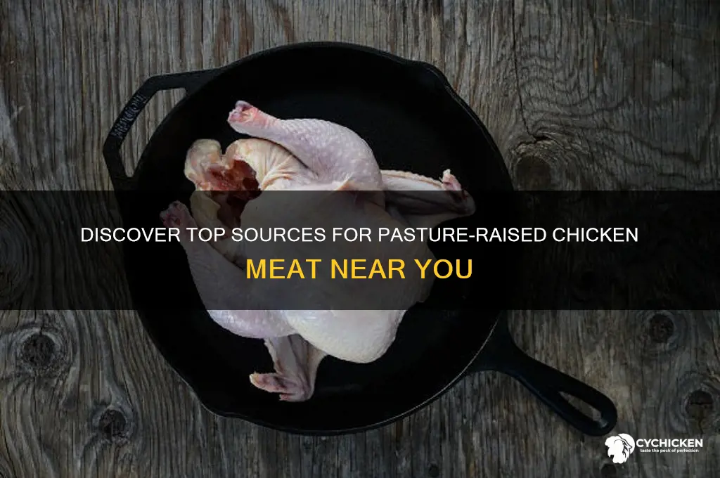 where to buy pasture raised chicken meat