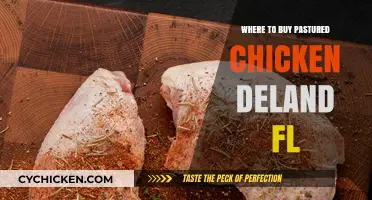 Discover Local Sources for Pastured Chicken in DeLand, FL