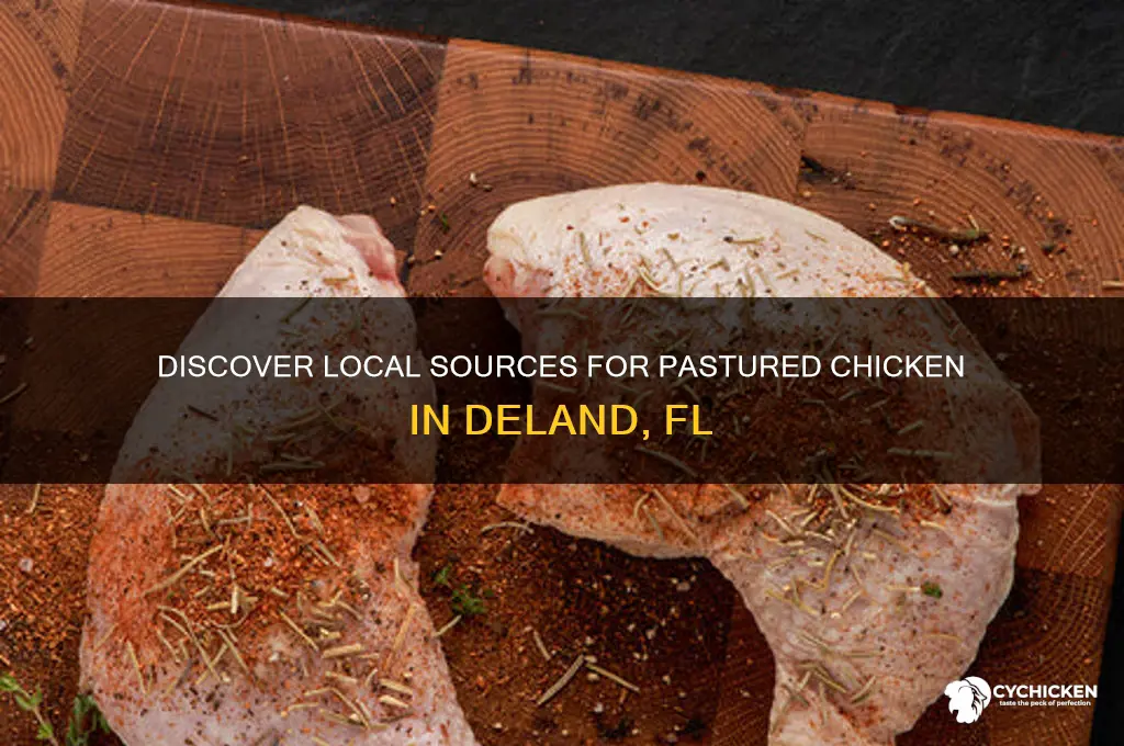 where to buy pastured chicken deland fl