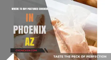 Find Fresh Pastured Chicken in Phoenix, AZ: Top Local Sources