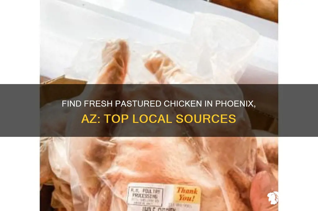 where to buy pastured chicken in phoenix az