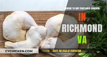 Find Fresh Pastured Chicken in Richmond, VA: Top Local Sources