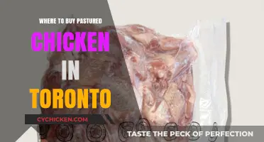 Discover Toronto's Best Sources for Pastured Chicken: A Local Guide