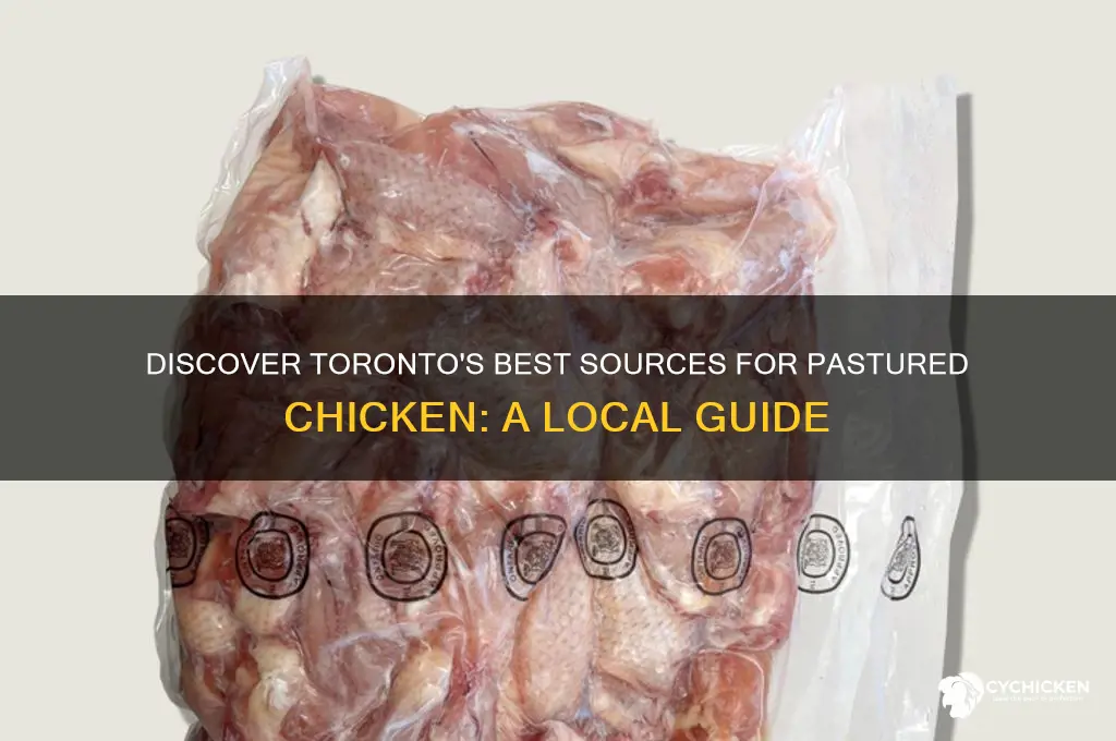 where to buy pastured chicken in toronto