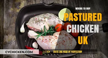 Discover the Best UK Sources for Pastured Chicken: A Guide
