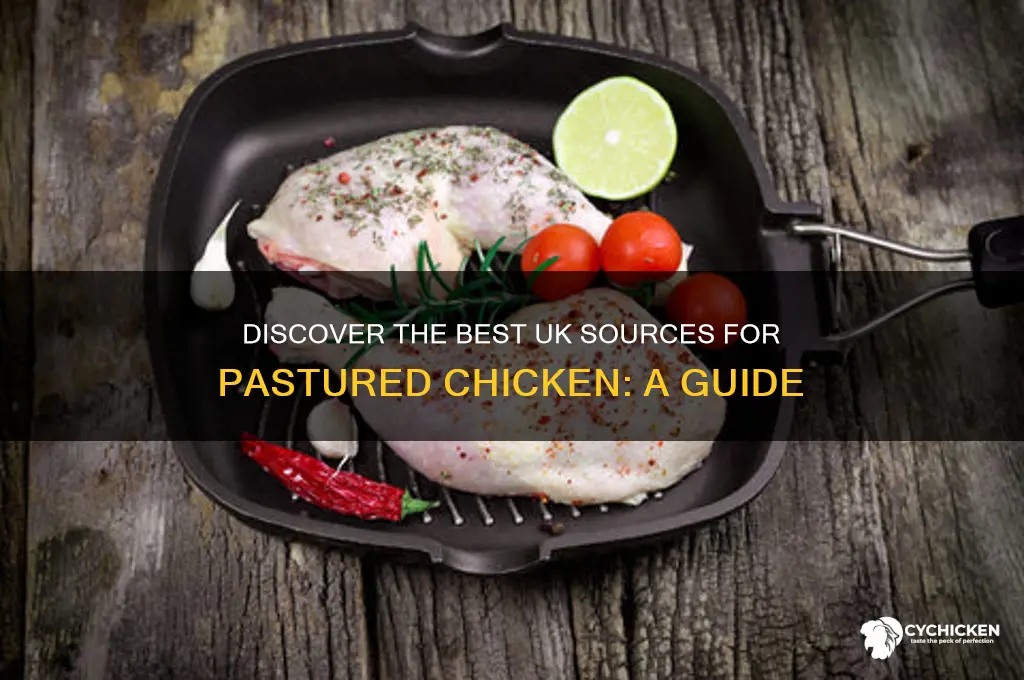 where to buy pastured chicken uk