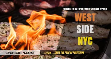 Find Pastured Chicken on NYC's Upper West Side: Top Sources