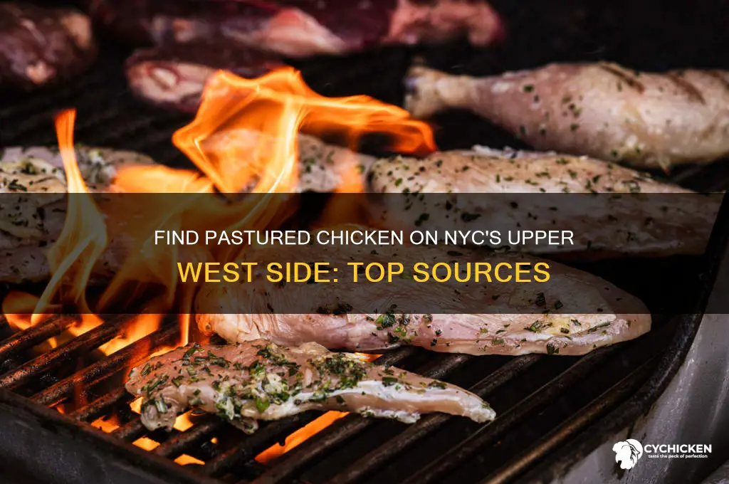 where to buy pastured chicken upper west side nyc