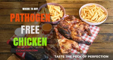 Safe and Healthy Poultry: Your Guide to Pathogen-Free Chicken Sources