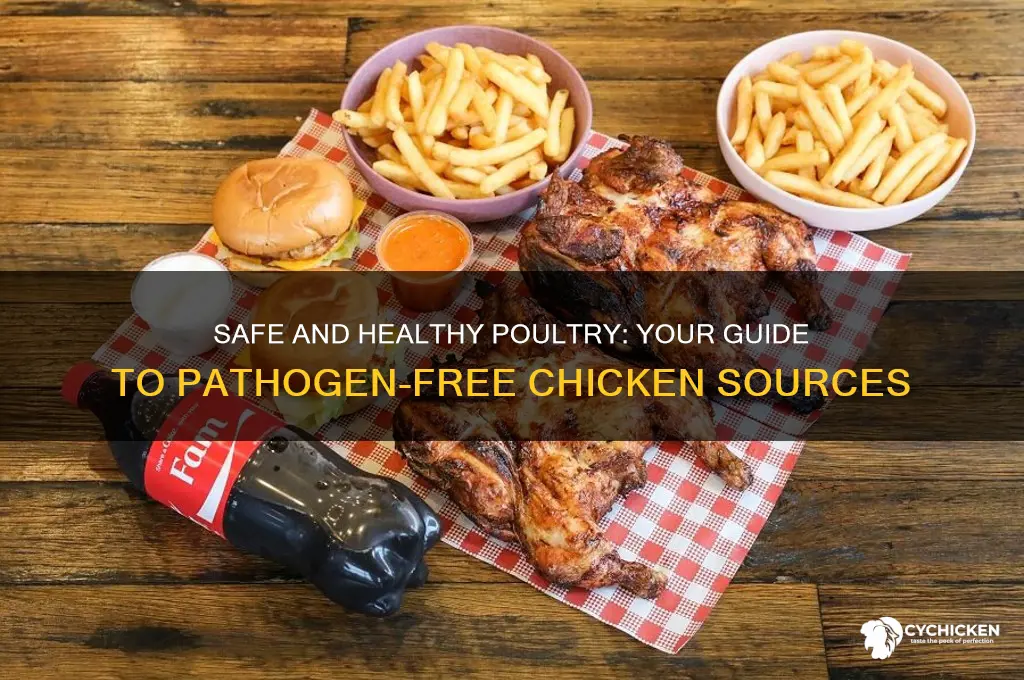where to buy pathogen free chicken
