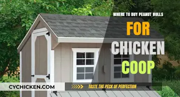 Best Places to Buy Peanut Hulls for Your Chicken Coop