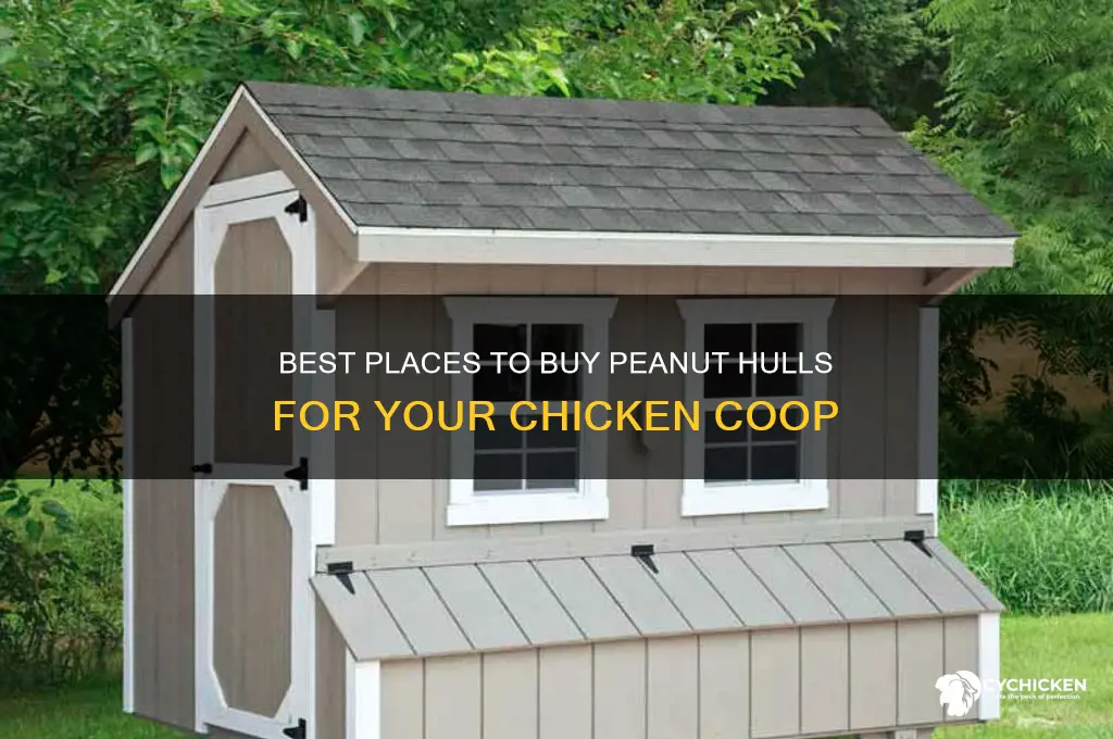 where to buy peanut hulls for chicken coop