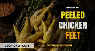Best Places to Purchase Peeled Chicken Feet for Your Recipes