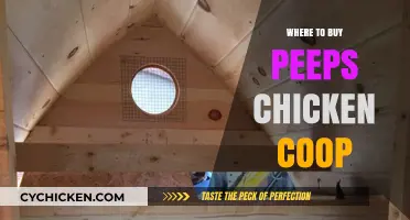 Best Places to Purchase Peeps Chicken Coops for Your Flock