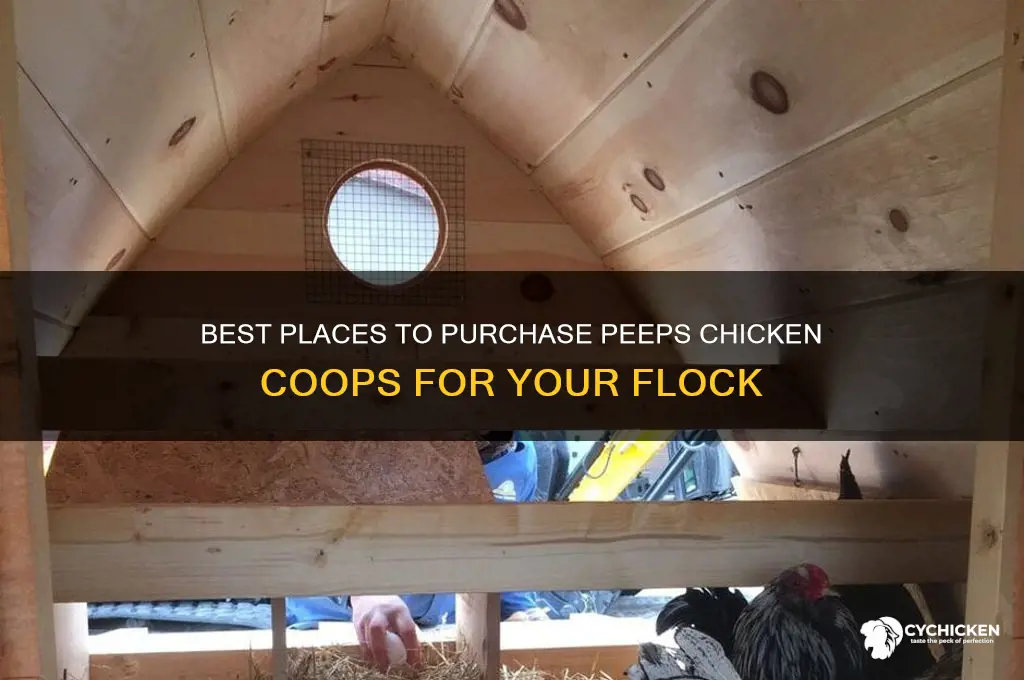 where to buy peeps chicken coop