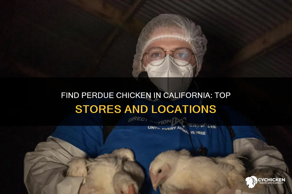 where to buy perdue chicken in california