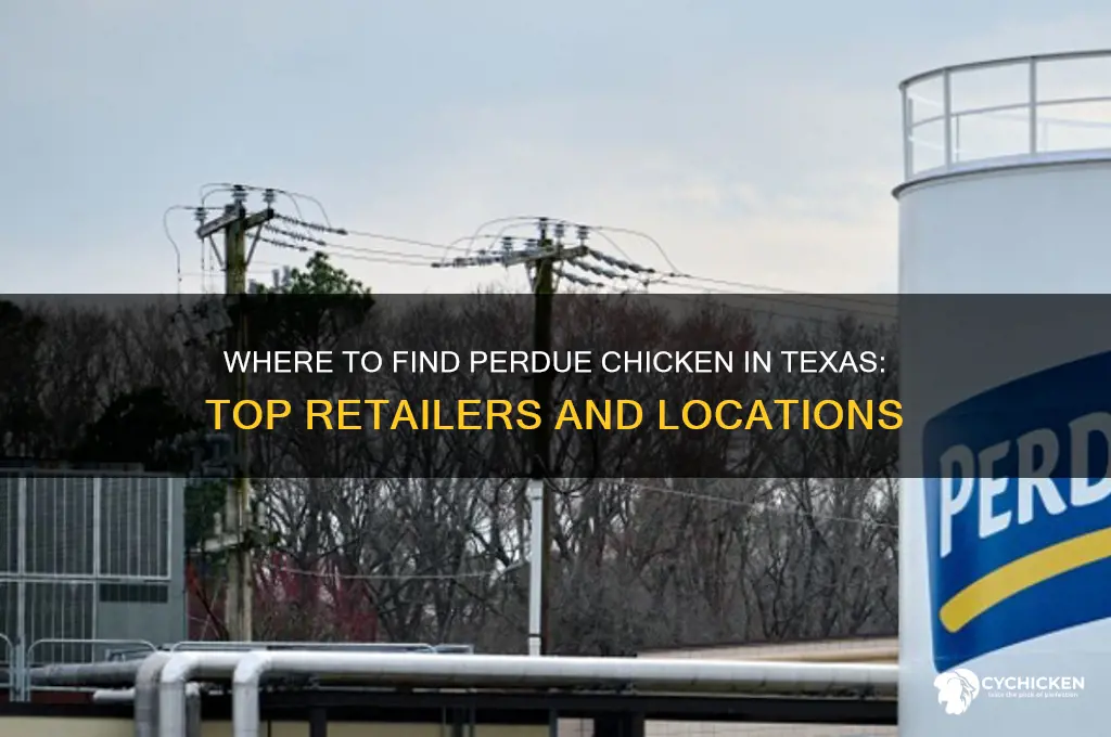 where to buy perdue chicken in texas