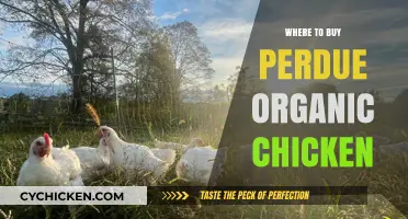 Where to Buy Perdue Organic Chicken: Top Retailers and Tips