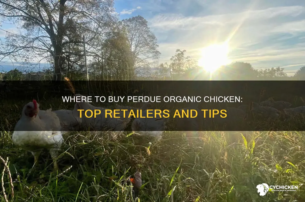 where to buy perdue organic chicken