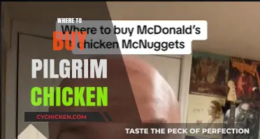 Discover the Best Places to Buy Pilgrim Chicken Near You