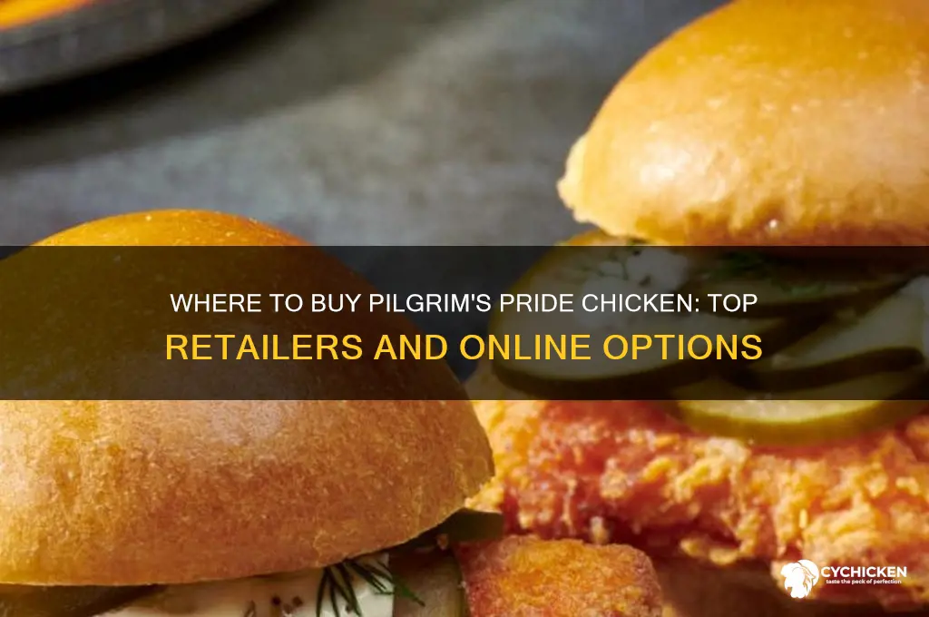 where to buy pilgrim
