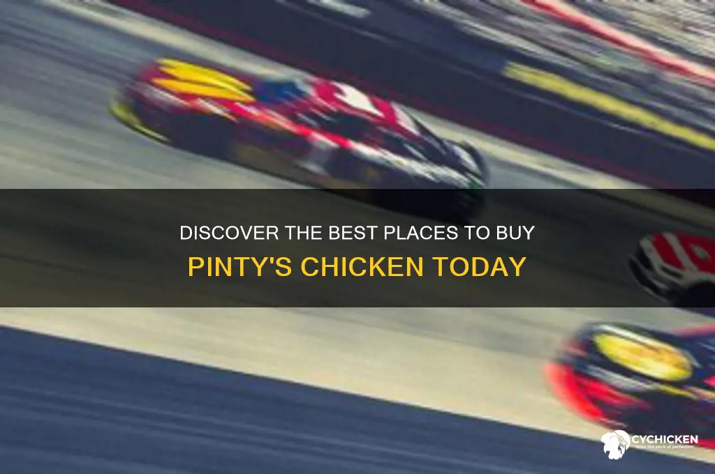 where to buy pinty