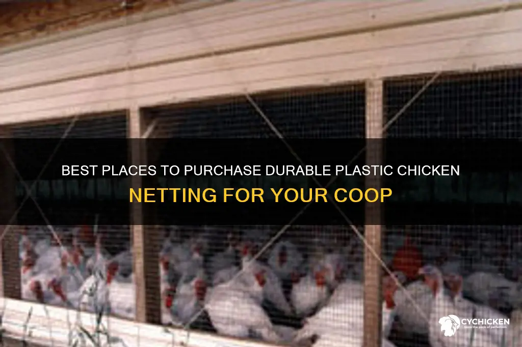 where to buy plastic chicken netting