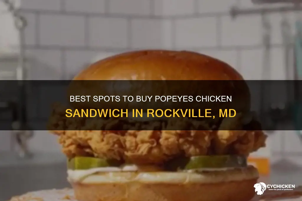 where to buy popeyes chicken sandwich in rockville md