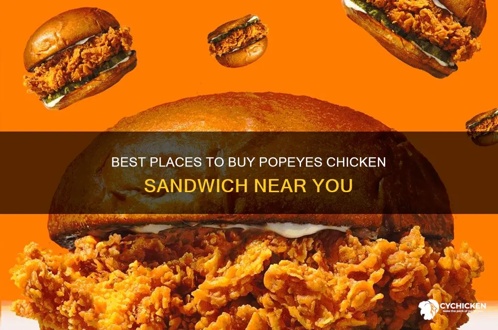 where to buy popeyes chicken sandwich