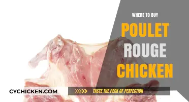 Discover the Best Sources to Buy Poulet Rouge Chicken