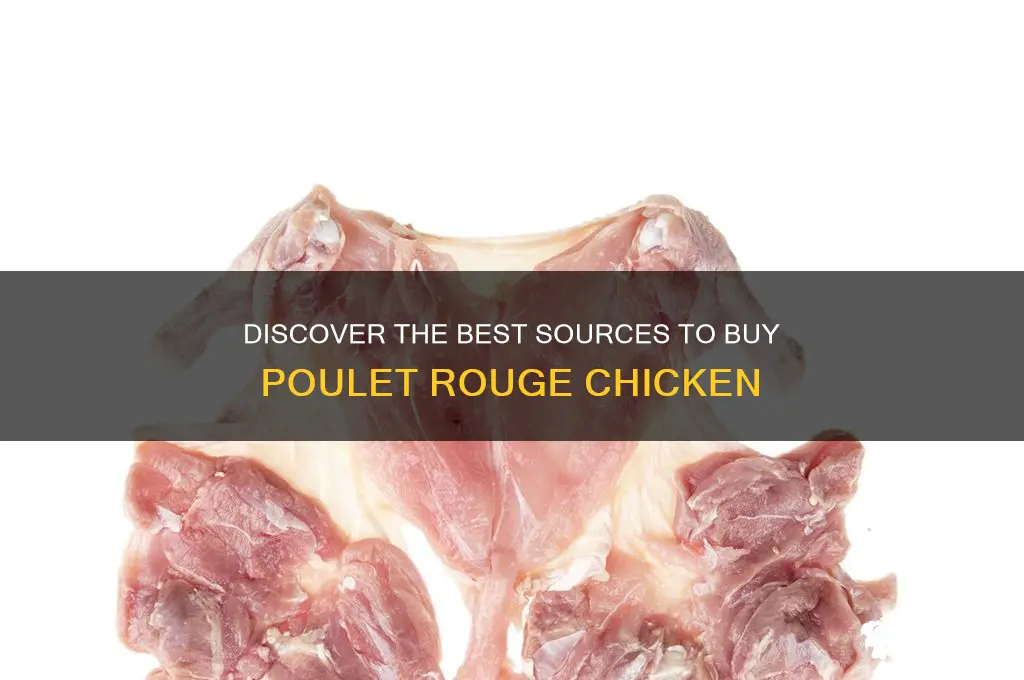 where to buy poulet rouge chicken