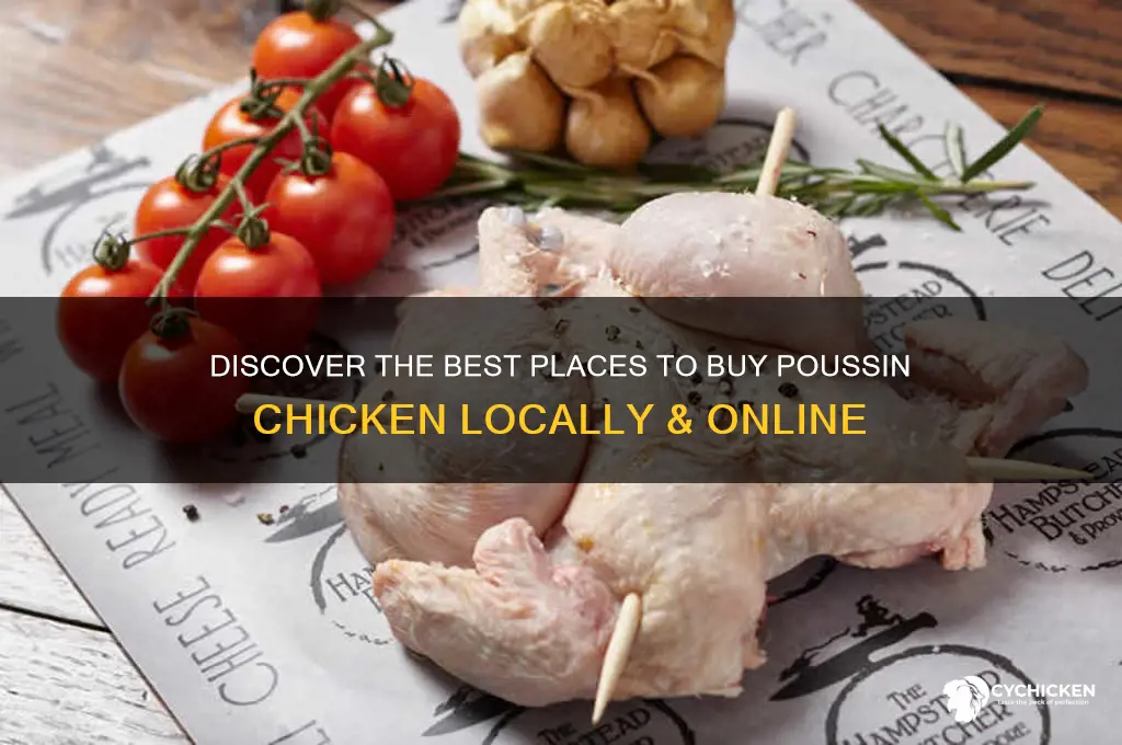 where to buy poussin chicken