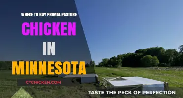 Discover Minnesota's Best Sources for Primal Pasture Chicken