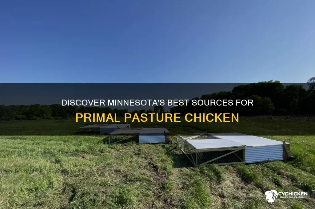 where to buy primal pasture chicken in minnesota