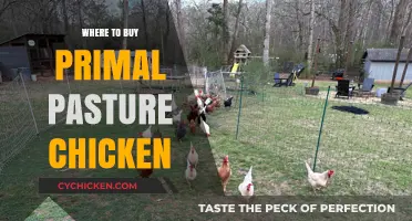 Discover the Best Places to Buy Primal Pasture Chicken