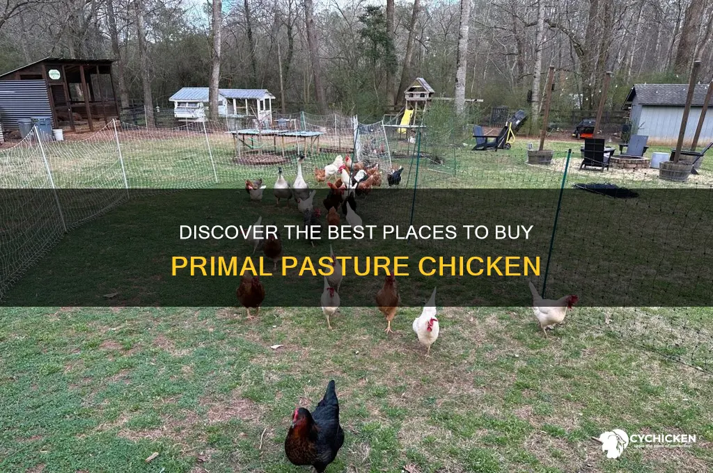 where to buy primal pasture chicken