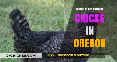 Oregon's Best Sources for Buying Healthy Produce Chicks Locally