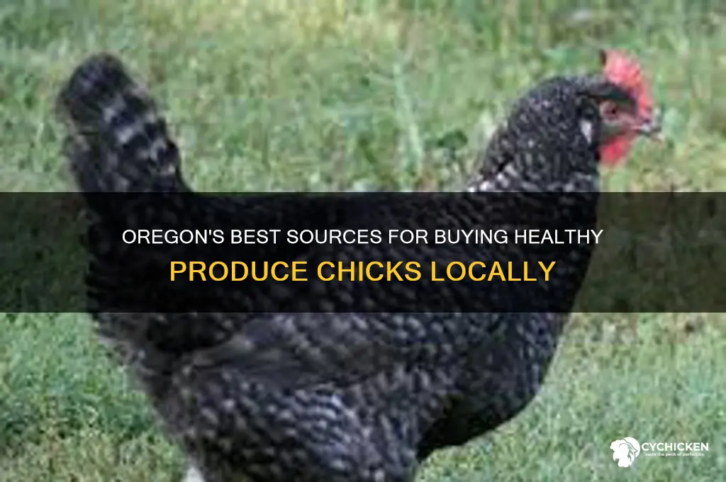 where to buy produce chicks in oregon