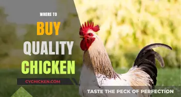 Discover Top Sources for Quality Chicken: A Buyer's Guide