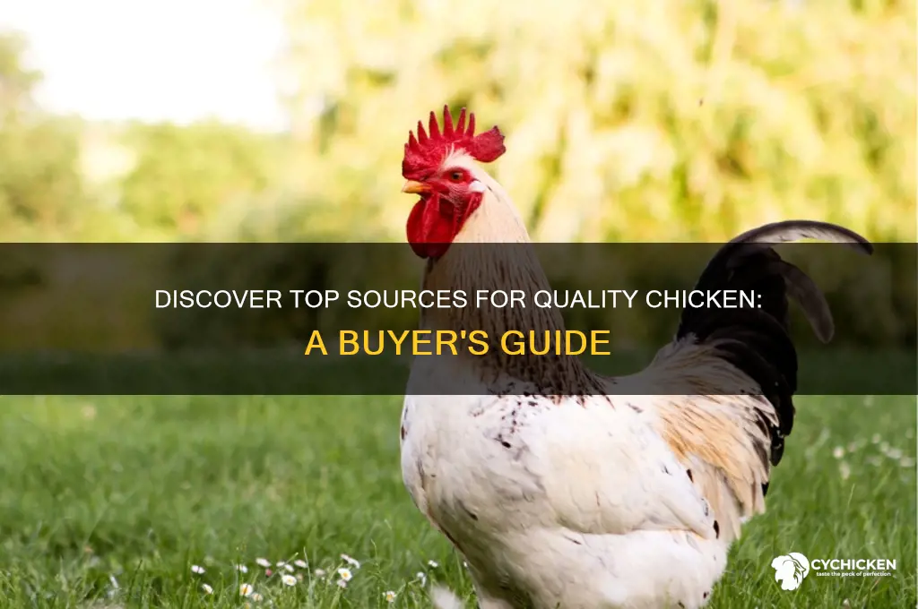 where to buy quality chicken