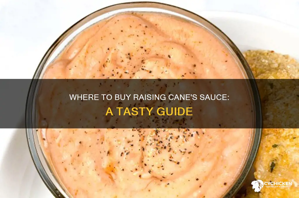 where to buy raising cane sauce